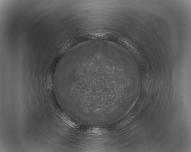 X0000082730467200702161912