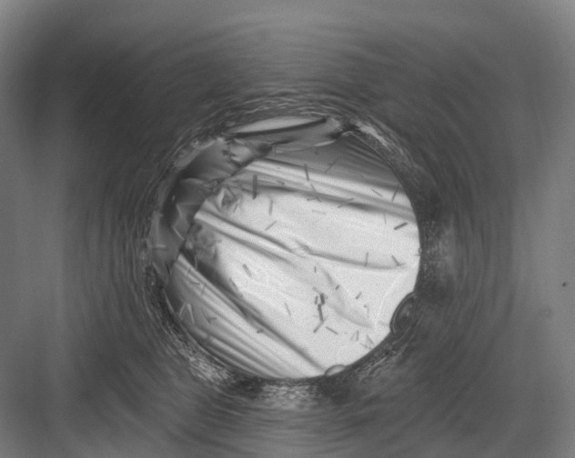 X0000082730469200702161912