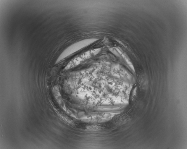 X0000082730470200702161912