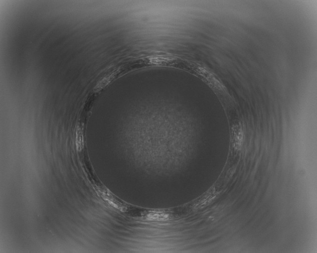 X0000082730471200702161912