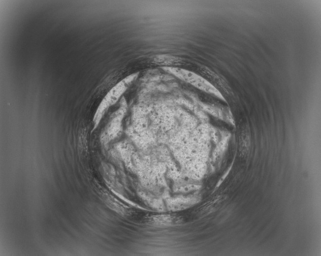 X0000082730473200702161912