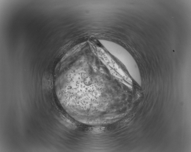 X0000082730474200702161912