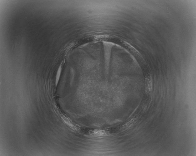 X0000082730475200702161912