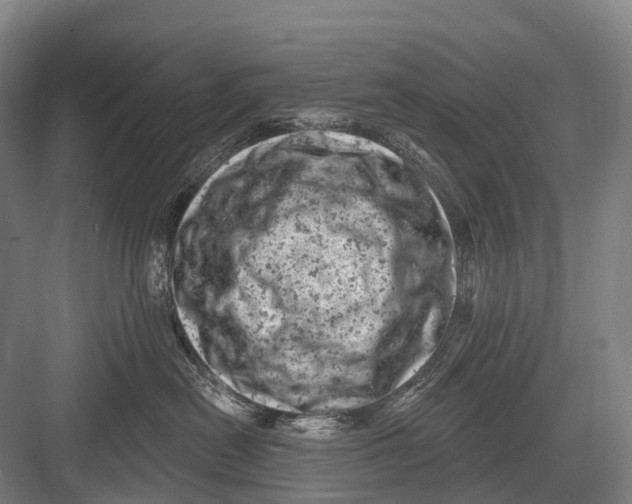 X0000082730478200702161912