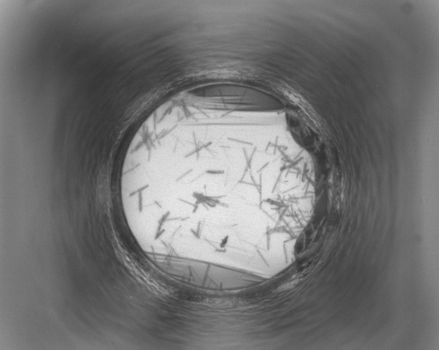 X0000082730482200702161911