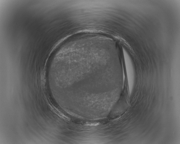 X0000082730484200702161911