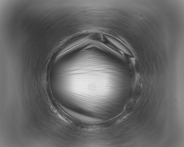 X0000082730485200702161911