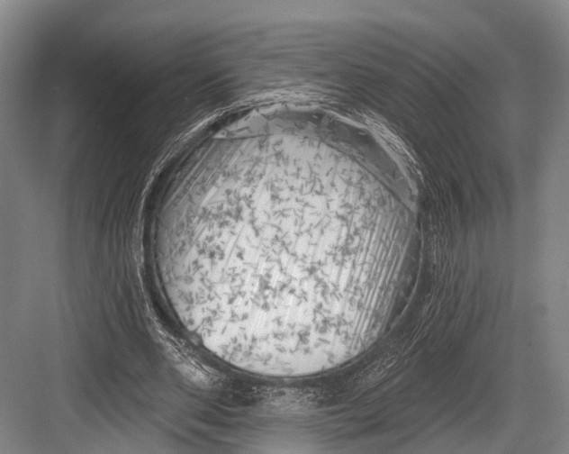 X0000082730486200702161911