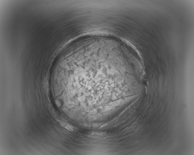 X0000082730487200702161911