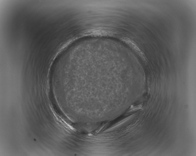 X0000082730488200702161911