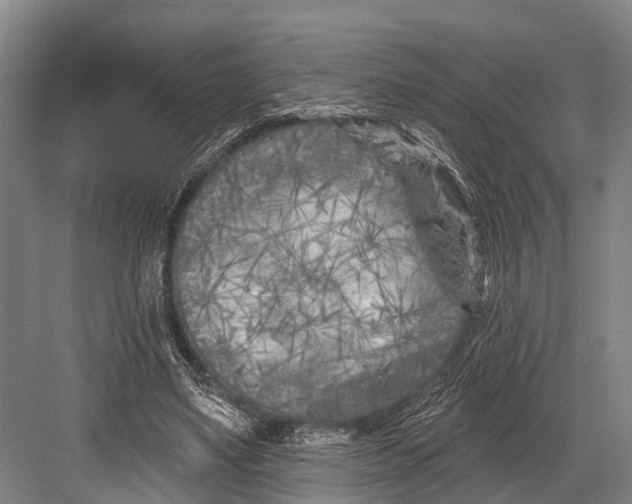 X0000082730491200702161911