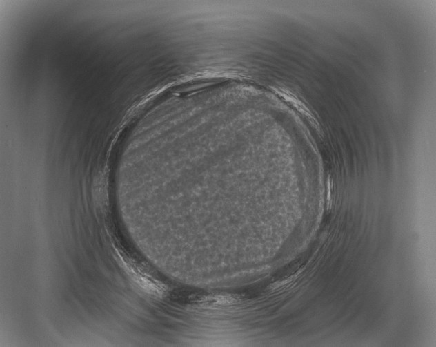 X0000082730492200702161911