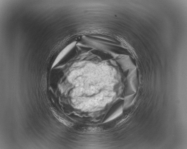 X0000082730493200702161911