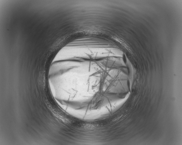 X0000082730494200702161911