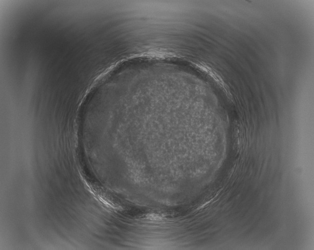 X0000082730496200702161911