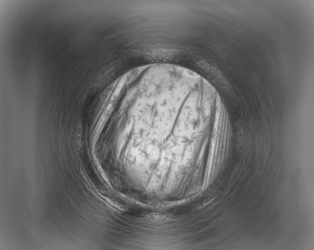 X0000082730498200702161911