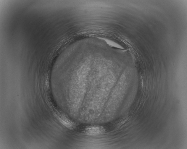 X0000082730499200702161911