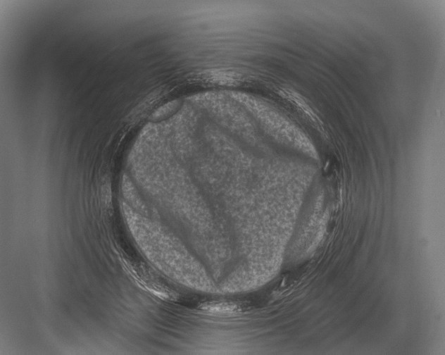 X0000082730500200702161911