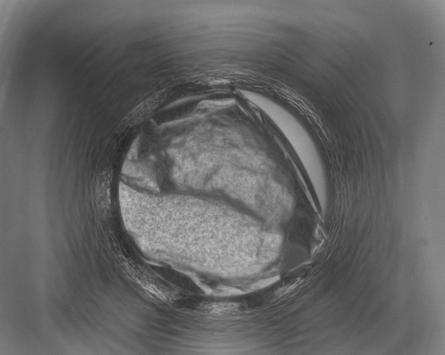 X0000082730501200702161911