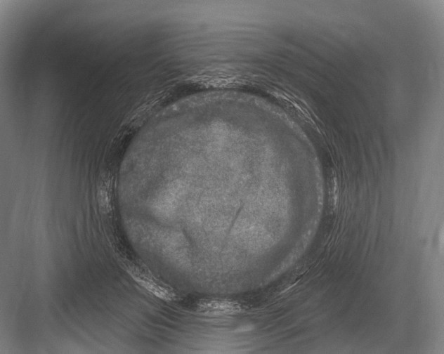 X0000082730503200702161911