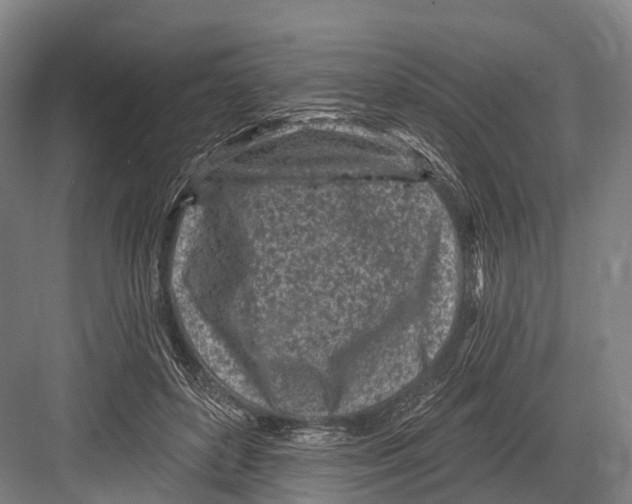 X0000082730504200702161911