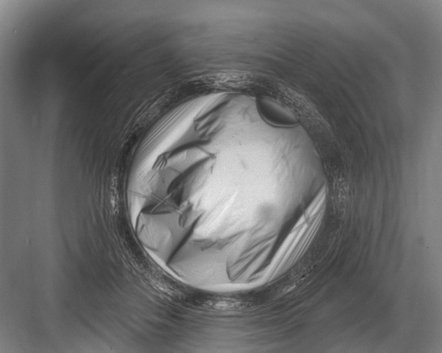 X0000082730506200702161911