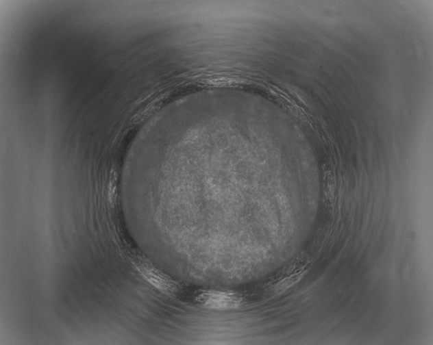 X0000082730507200702161911