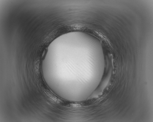 X0000082730509200702161911