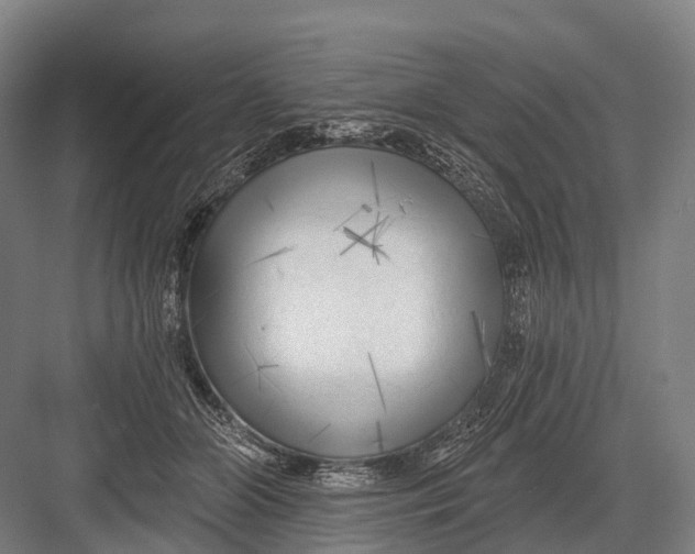 X0000082730510200702161911