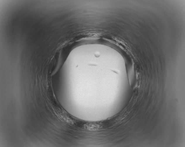 X0000082730512200702161911