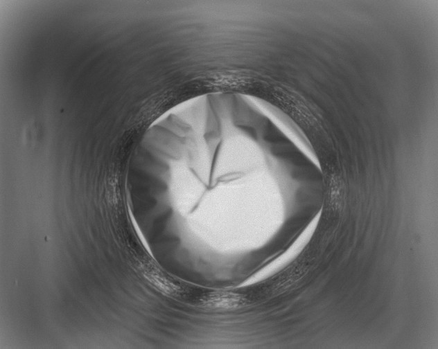 X0000082730514200702161910