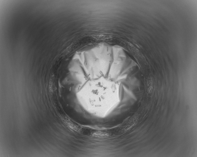 X0000082730515200702161910