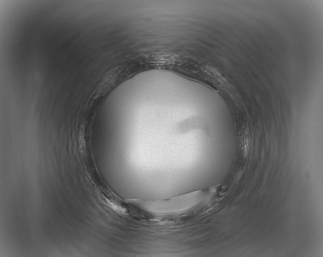 X0000082730516200702161910