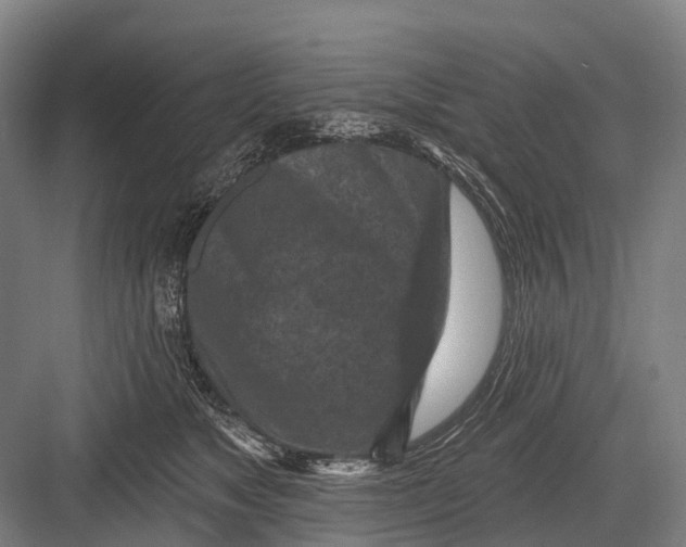 X0000082730517200702161910