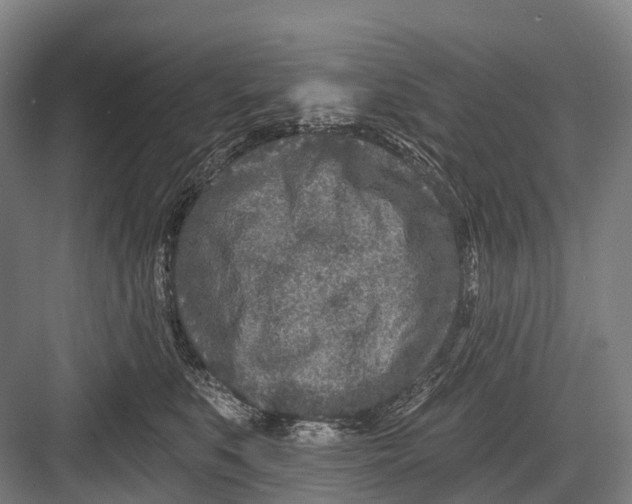 X0000082730519200702161910