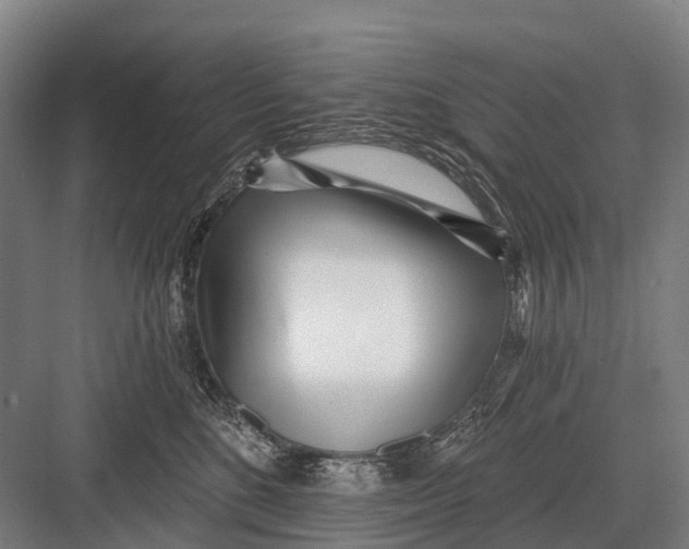 X0000082730520200702161910