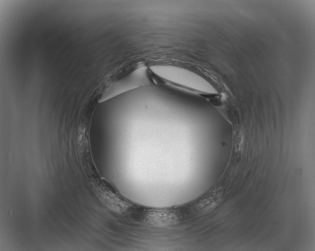 X0000082730521200702161910