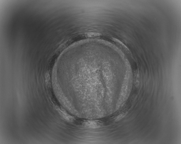 X0000082730523200702161910