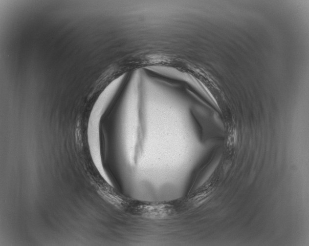 X0000082730524200702161910