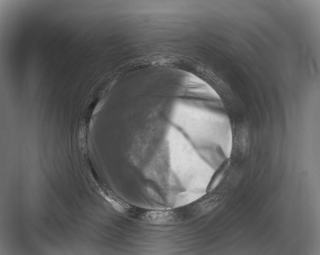 X0000082730526200702161910