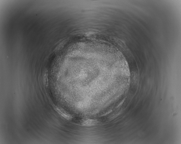 X0000082730527200702161910