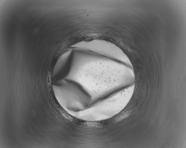 X0000082730528200702161910