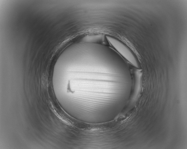 X0000082730530200702161909