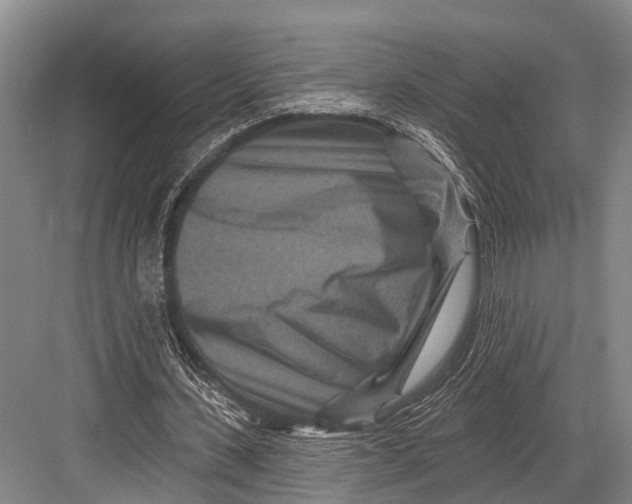 X0000082730531200702161909