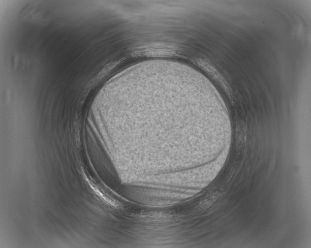 X0000082730533200702161910