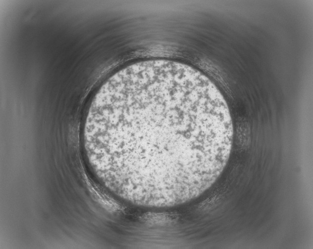 X0000082730534200702161910