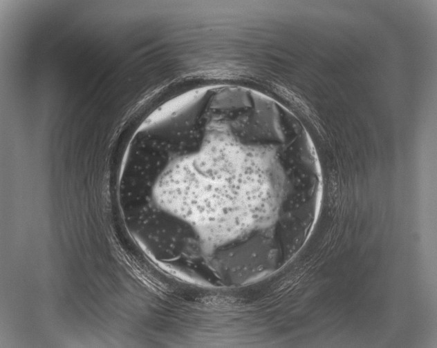 X0000082730535200702161910