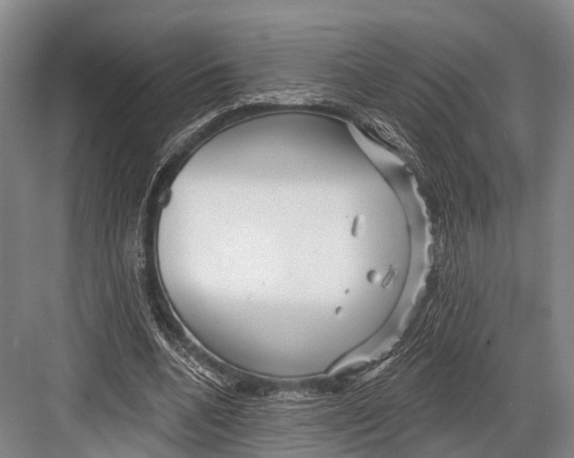 X0000082730536200702161910