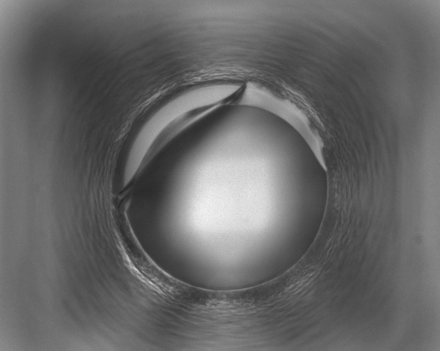 X0000082730538200702161910