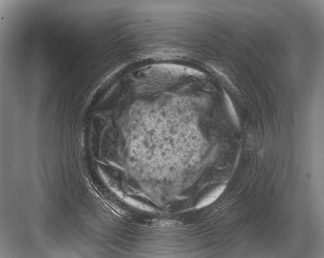 X0000082730539200702161910